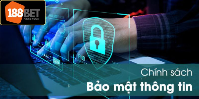 Lý do trang web thu thập thông tin dữ liệu từ người dùng