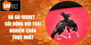 Đá Gà 188Bet - Sôi Động Với Trải Nghiệm Chân Thực Nhất