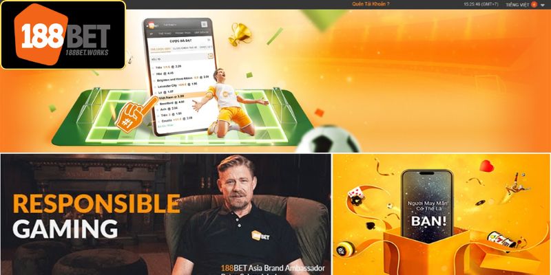 Sơ bộ thông tin các chính sách từ trang web dành cho người dùng